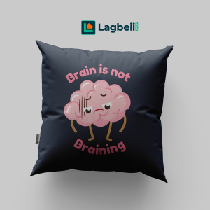 Cushion & Cover 053