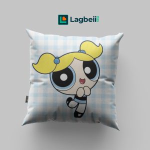 Cushion & Cover 075