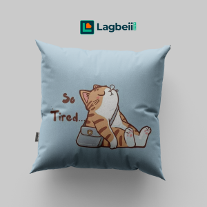 Cushion & Cover 041