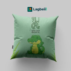Cushion & Cover 033
