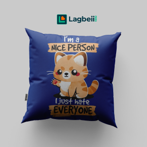 Cushion & Cover 043