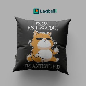 Cushion & Cover 092